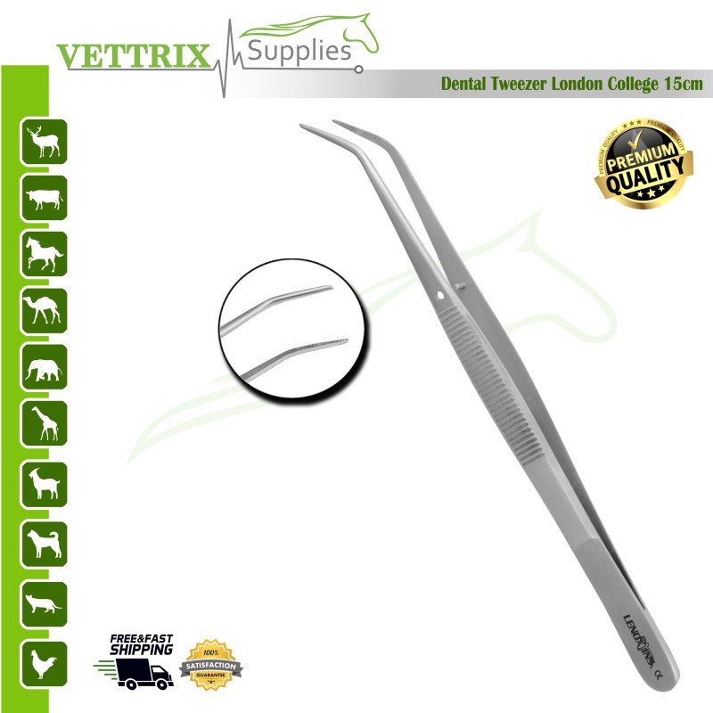 Dental Tweezers London College 15cm