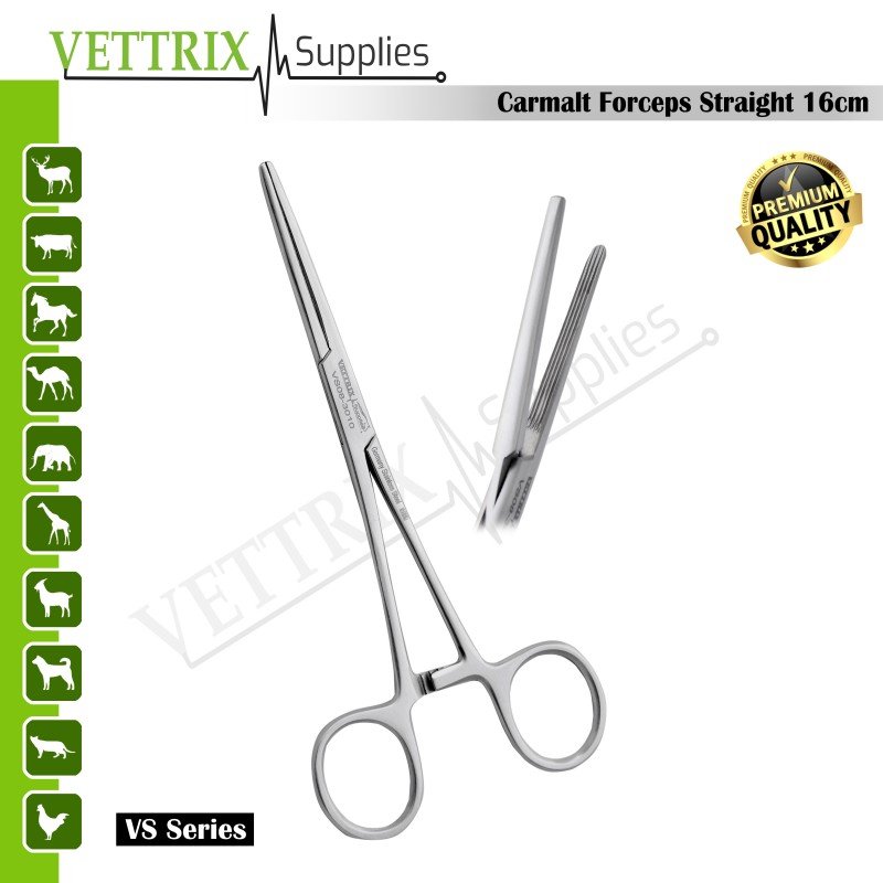 Carmalt Forceps Straight 16cm Stainless Steel
