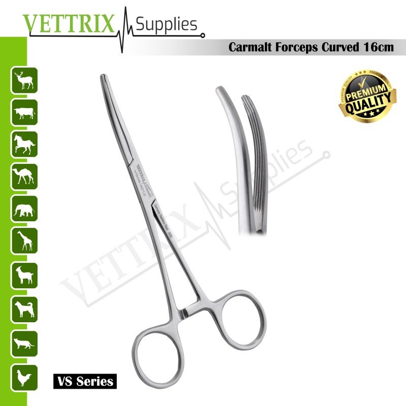 Carmalt Forceps Curved 16cm Stainless Steel