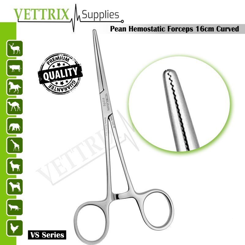 Rochester Pean Forceps Curved 6 1/4" Stainless Steel