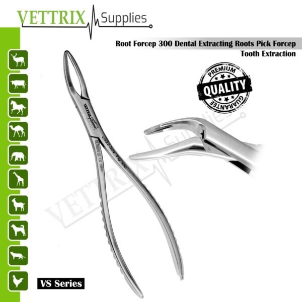 Root Forceps 300 Dental Extracting Roots Pick Forcep