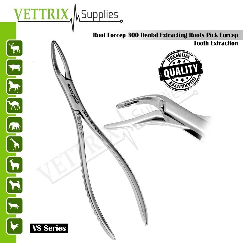 Root Forceps 300 Dental Extracting Roots Pick Forcep