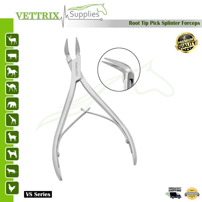 Root Tip Pick Splinter Forceps