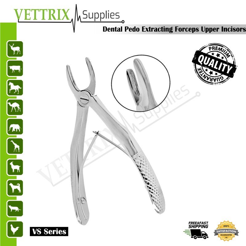 Extracting Forceps Klein #137 Upper Incisors