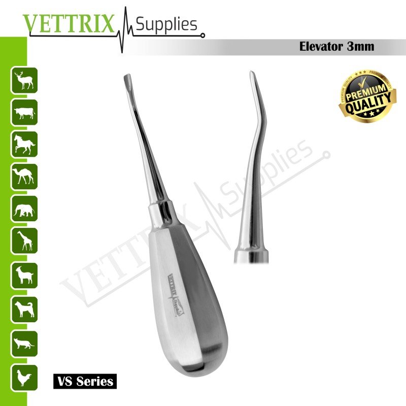 Dental Elevator 3mm