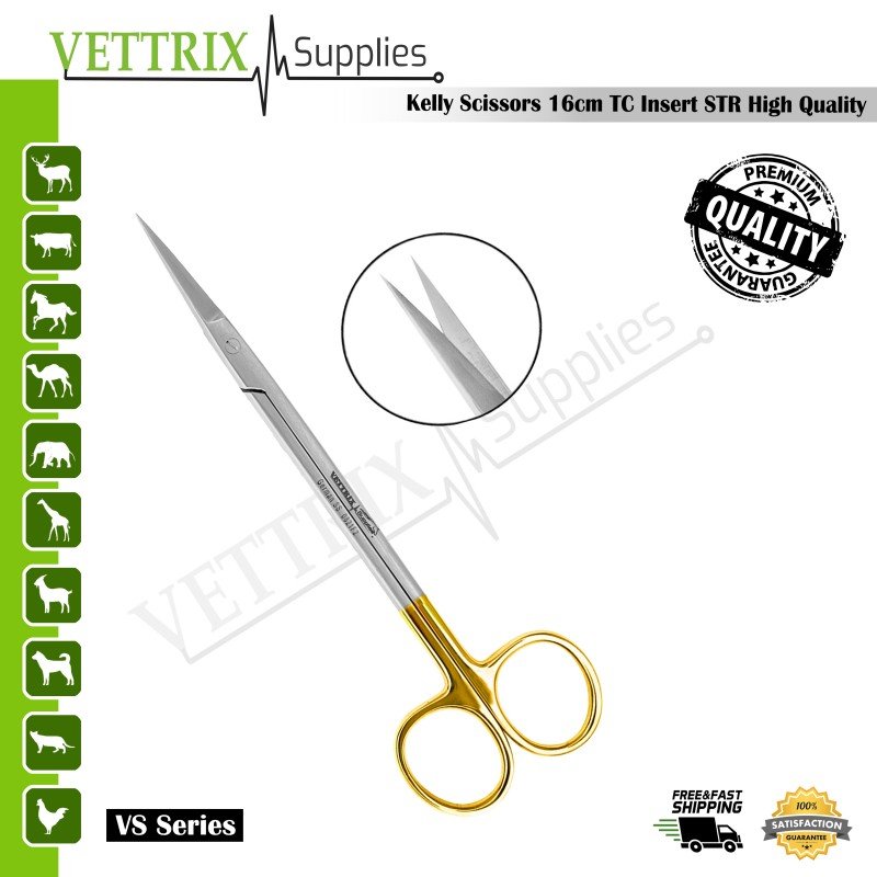 Kelly Scissors 16cm STR TC