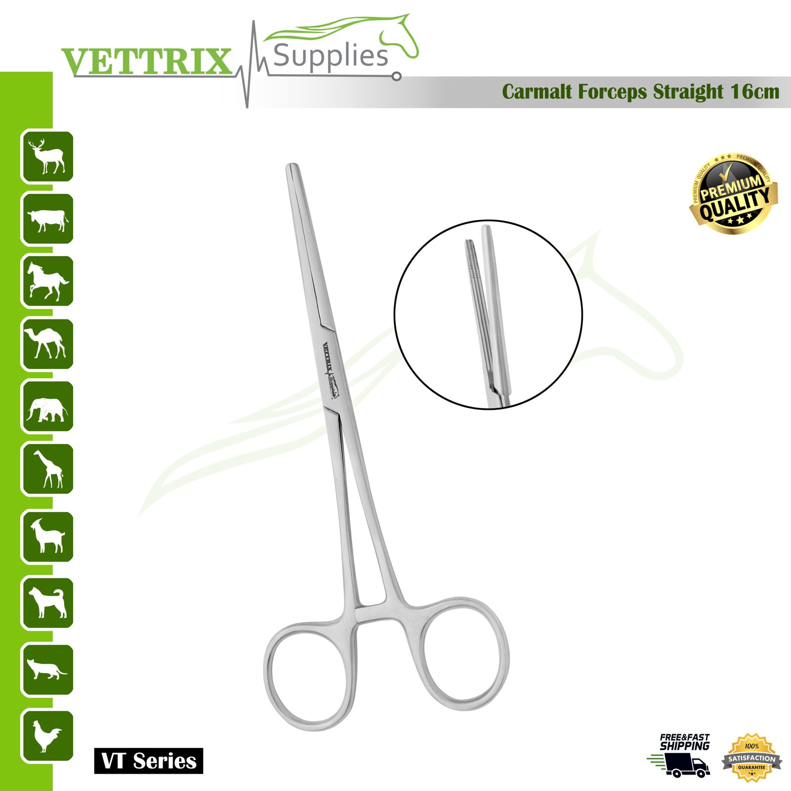 Carmalt Forceps Straight 16cm Stainless Steel