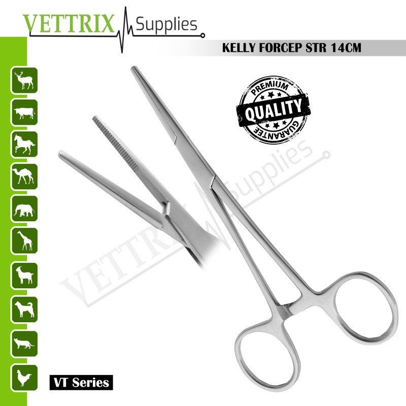 Kelly Forceps STR 14cm Stainless Steel