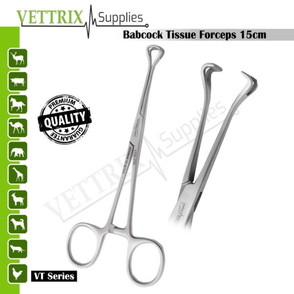 Babcock Tissue Forceps 15 cm