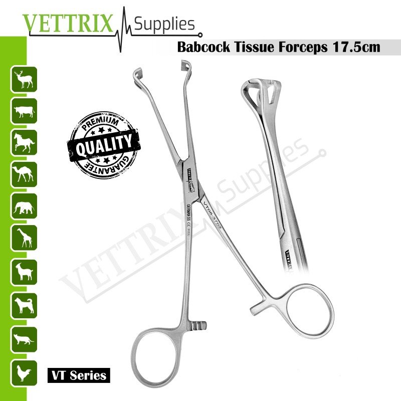 Babcock Tissue Forceps 17.5 cm Babcock Tissue Forceps 17.5 cm