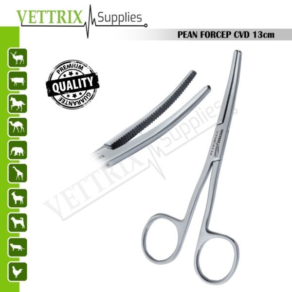 Pean Forceps Curved 13cm Stainless Steel