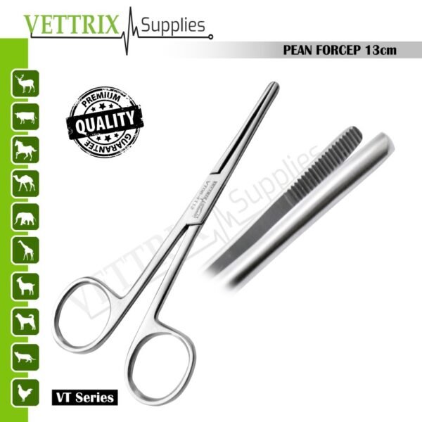Pean Forceps 13cm Straight Stainless Steel