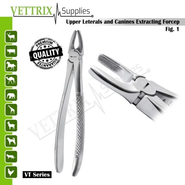 Upper Laterals and Canines Extracting Forceps Fig. 1