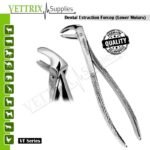 Dental Extraction Forceps Lower Molars