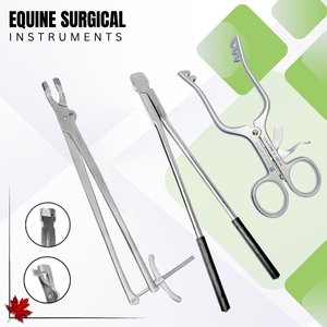 Equine Surgical Instruments