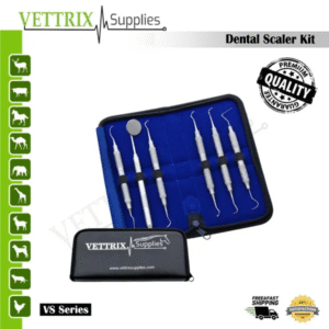 Dental Scaler Kit