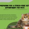 Pet at veterinary clinic stress-free appointment