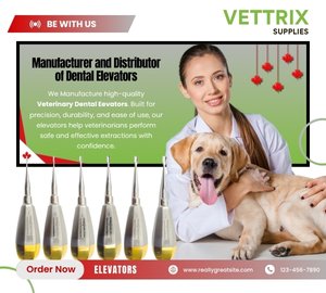 Veterinary Supplies