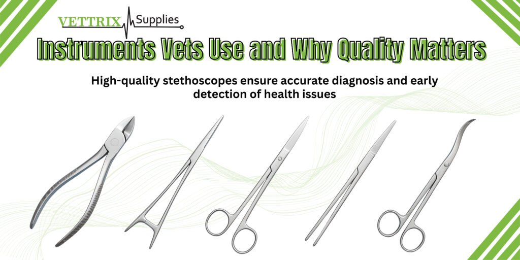 Veterinarian treating pet dental problems with instruments