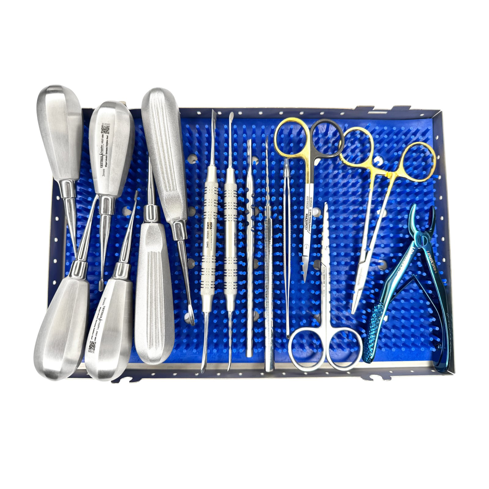 Vettrix Dental Kit in Cassette veterinary dental instrument set
