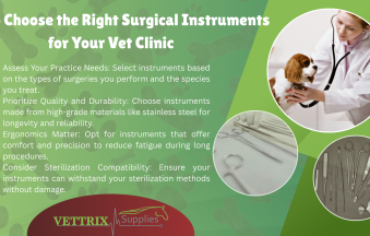 Veterinary surgeon choosing surgical instruments
