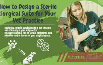 Veterinary surgical suite designed for optimal safety
